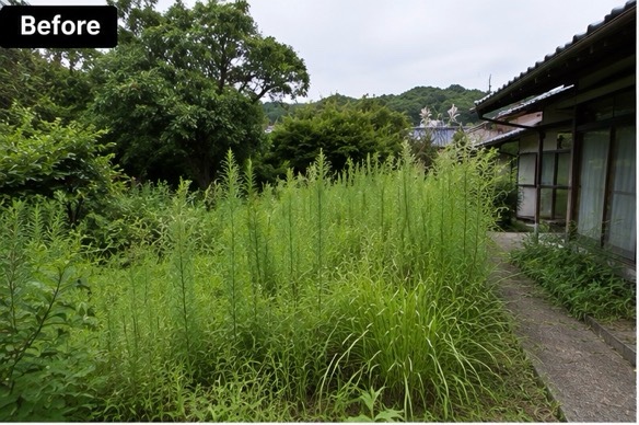 福岡県N市・施工前 草木繁茂