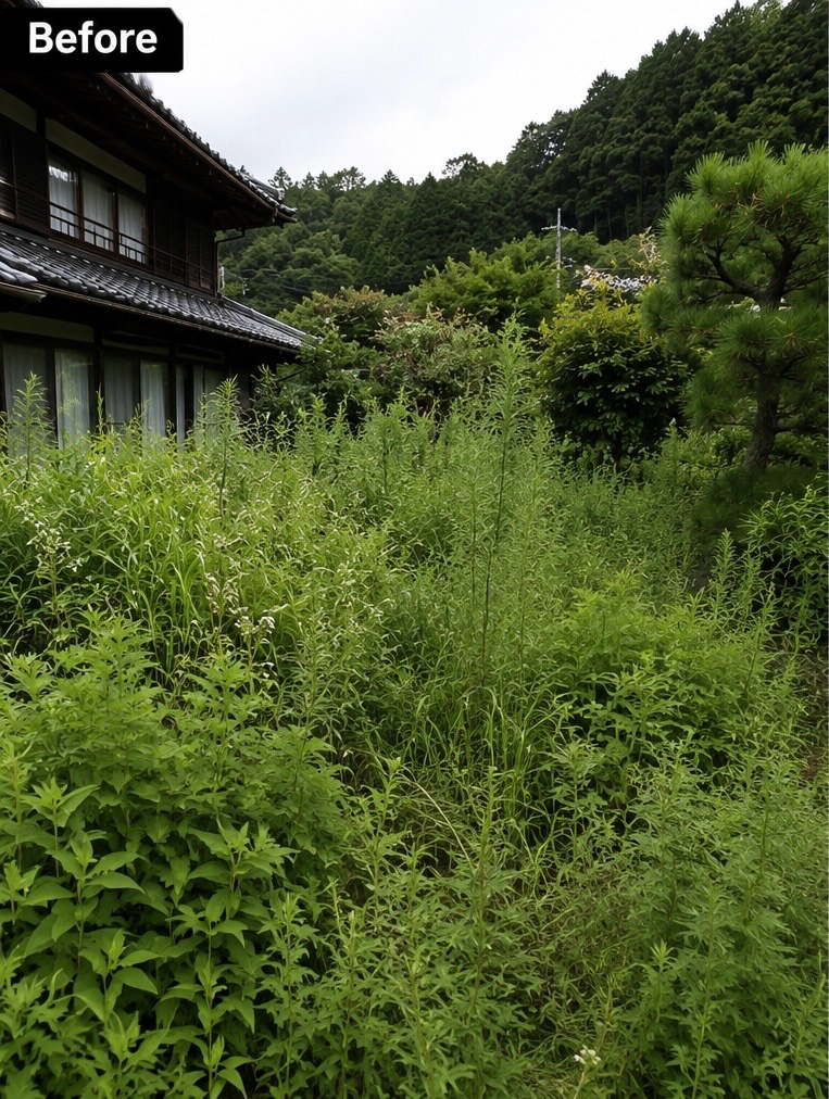 大分県K村・郵便物山積み・害獣跡